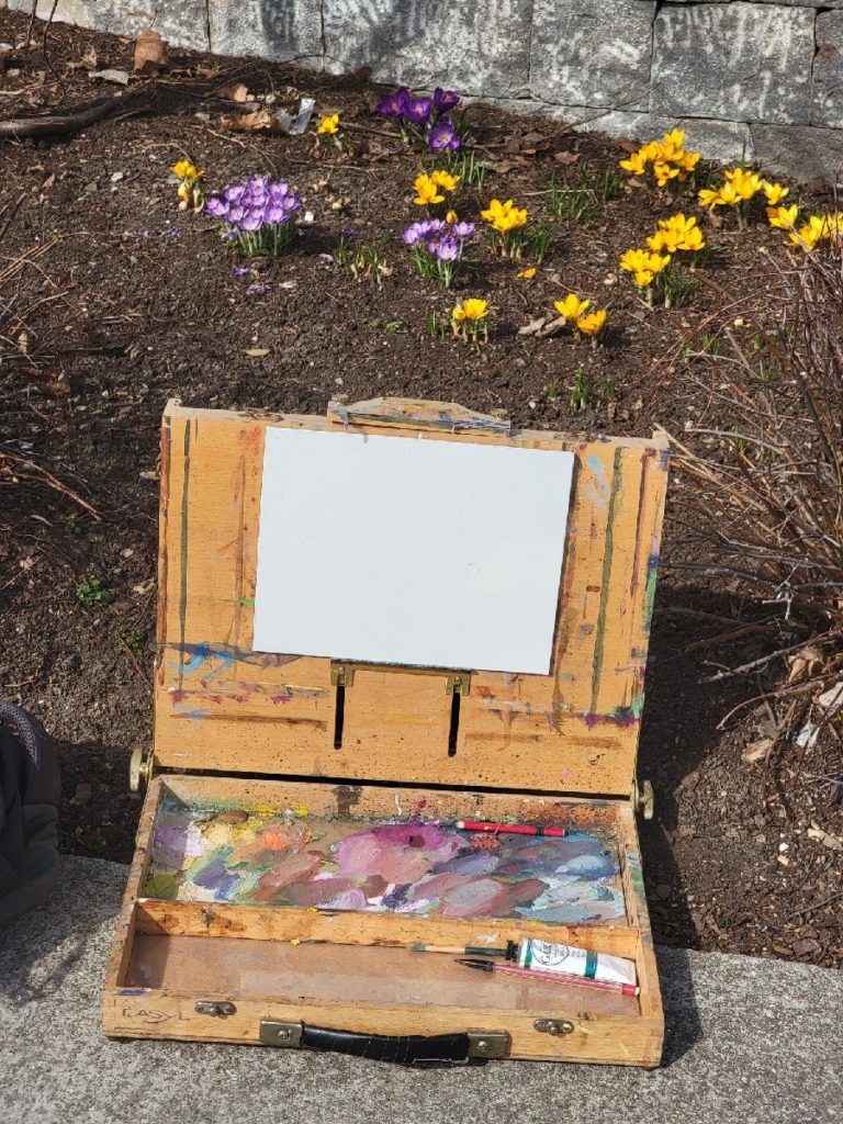 a blank plein air canvas in front of a bed of crocus flowers