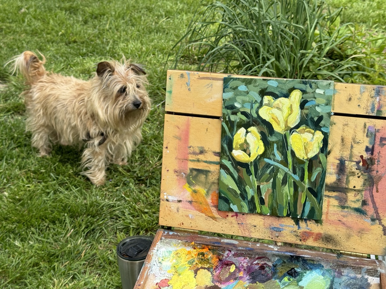 Yellow Tulips – Plein Air  23 April 2024