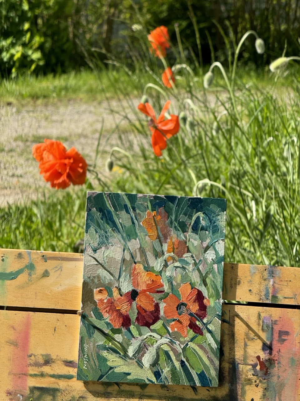 Poppies – Plein air 28 April 2024