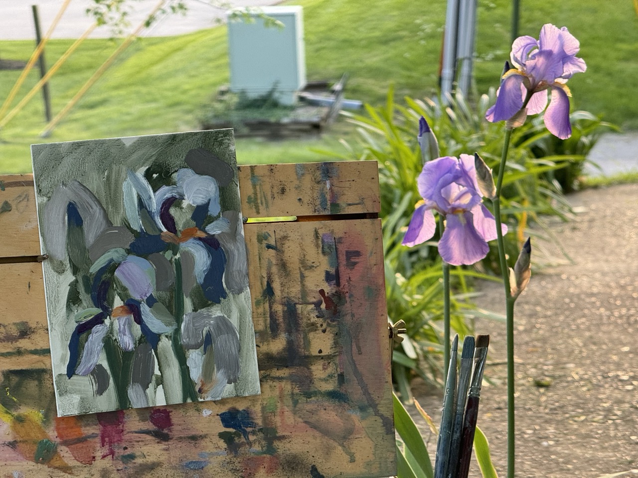 First Irises – plein Air 29 April 2024