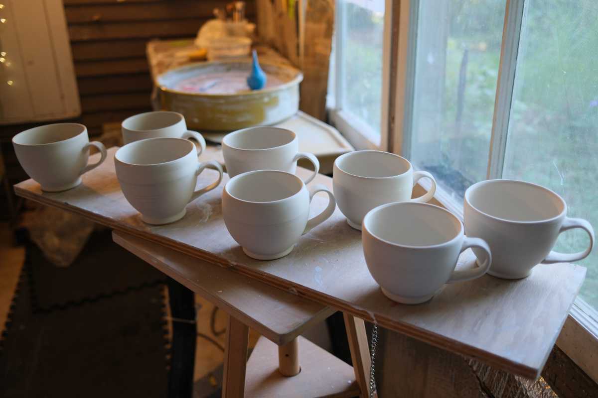 Clay studio update – 16 June 2024
