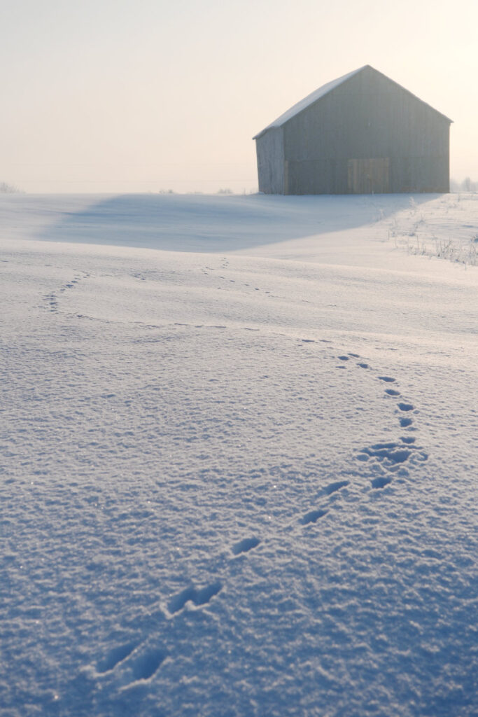 BarnWithTrails