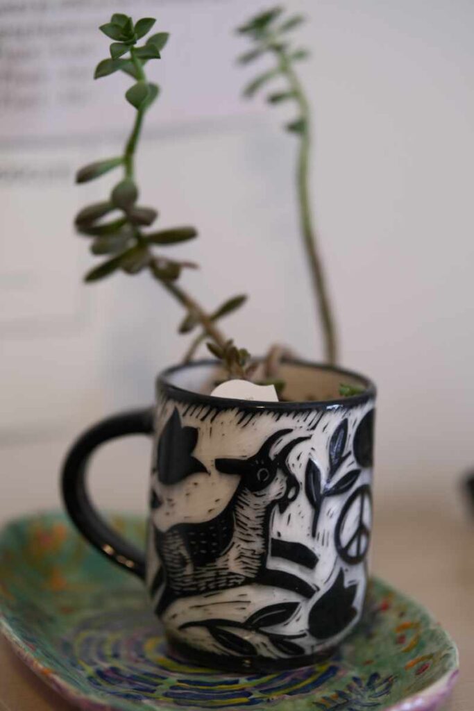 CupWithRadhaPlate
